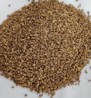Carom-Ajwain