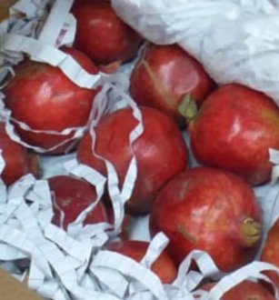 Pomegranate