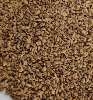 Carom-Ajwain