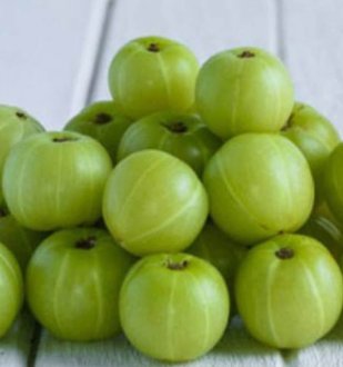 Indian Gooseberry – Aamla