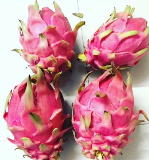 Dragon Fruit – Kamalam